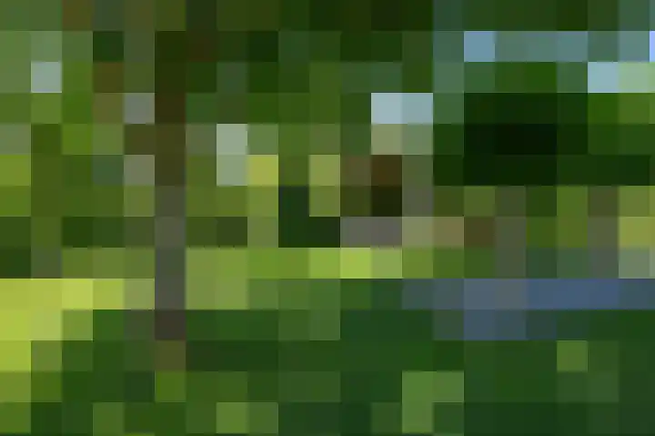 Volkerakstraat 19 Herkingen thumbnail 50