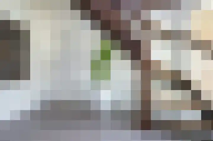 Volkerakstraat 19 Herkingen thumbnail 6