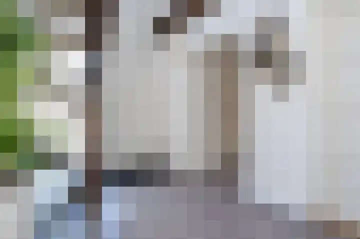 Volkerakstraat 19 Herkingen thumbnail 7