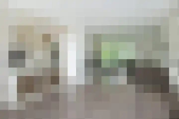 Volkerakstraat 19 Herkingen thumbnail 9