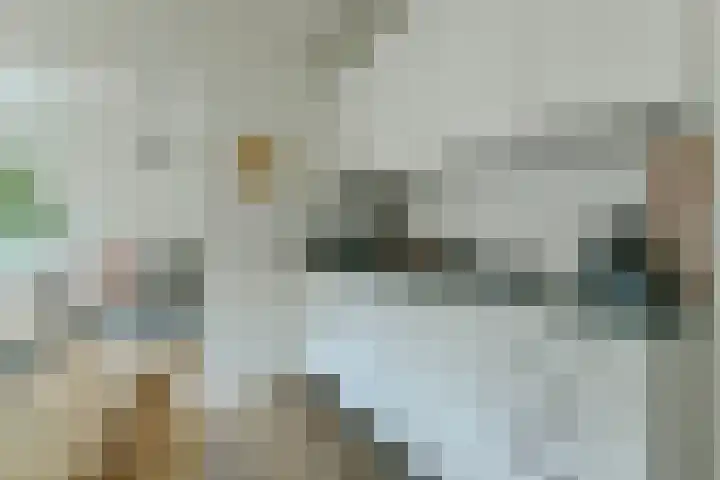 Volkerakstraat 21 2 Amsterdam thumbnail 6
