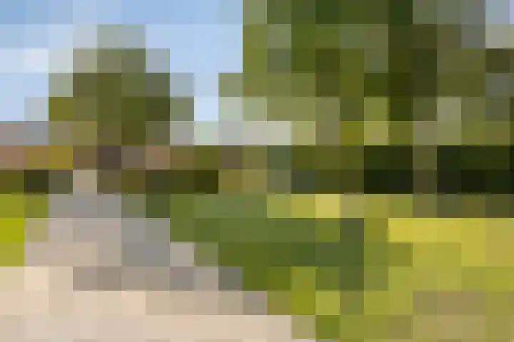 Volkerakstraat 22 Zierikzee thumbnail 36
