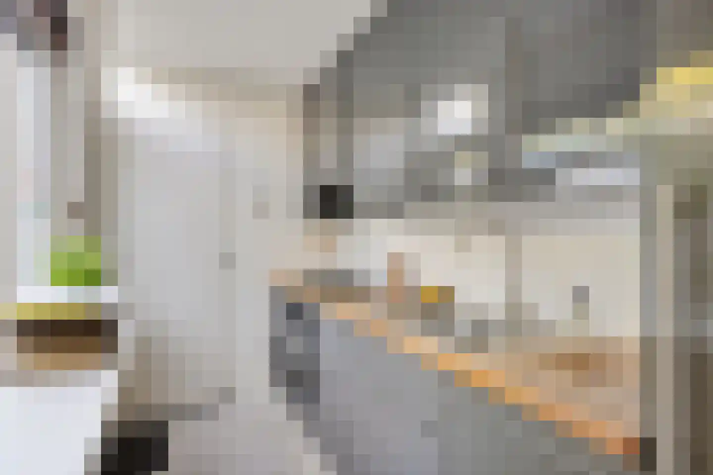 Volkerakstraat 31 Utrecht thumbnail 16
