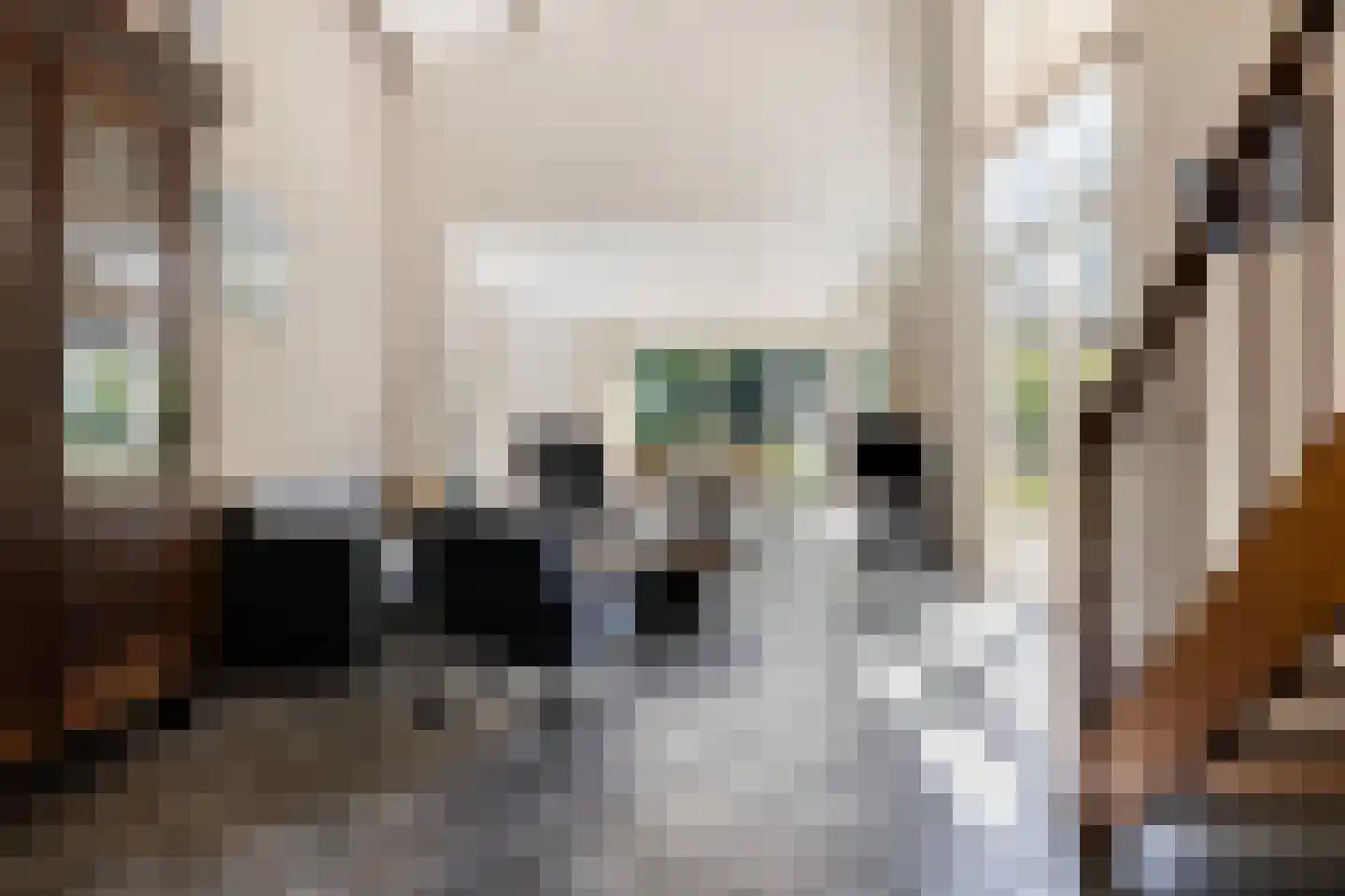 Volkerakstraat 33 Zierikzee thumbnail 16