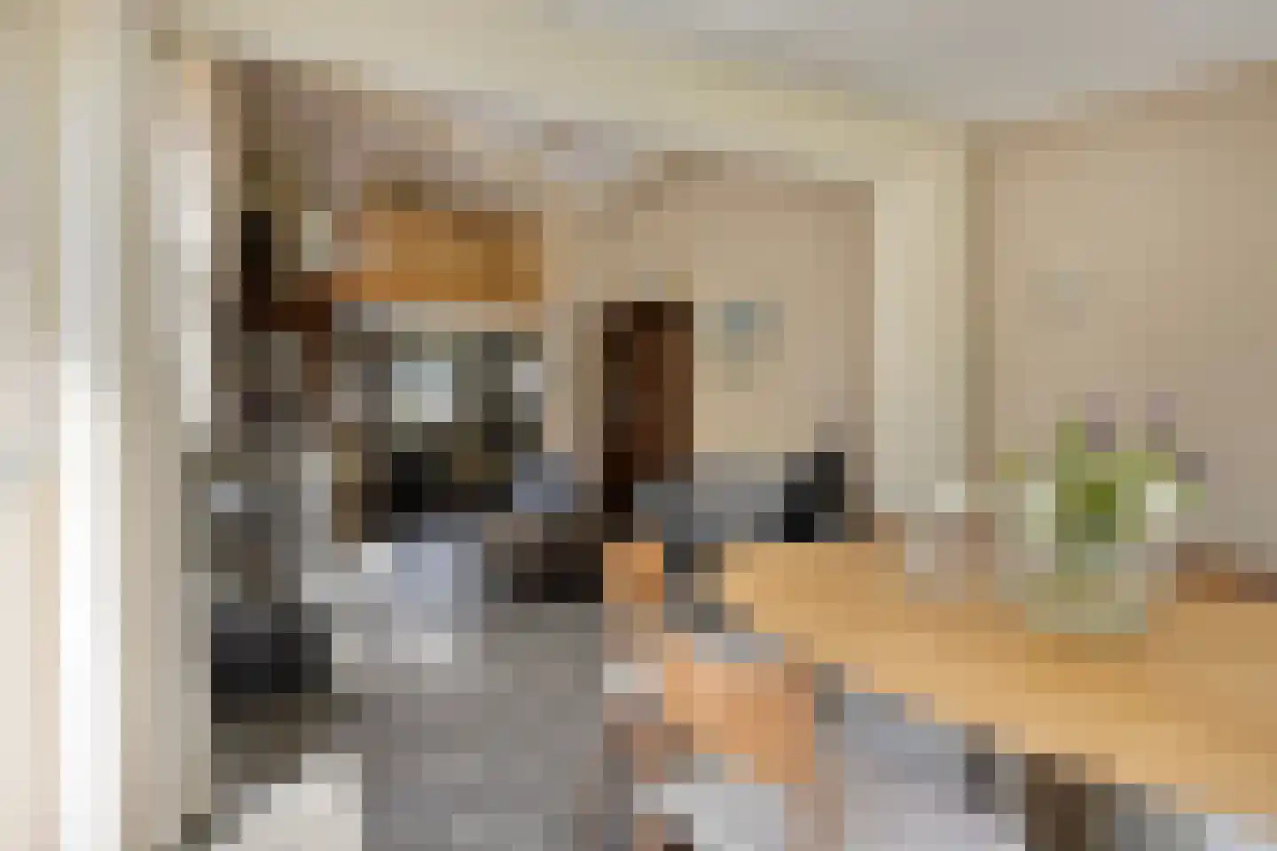 Volkerakstraat 33 Zierikzee thumbnail 21