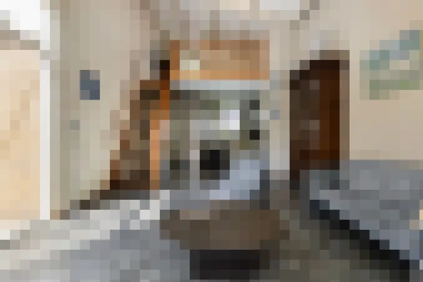 Volkerakstraat 33 Zierikzee thumbnail 22