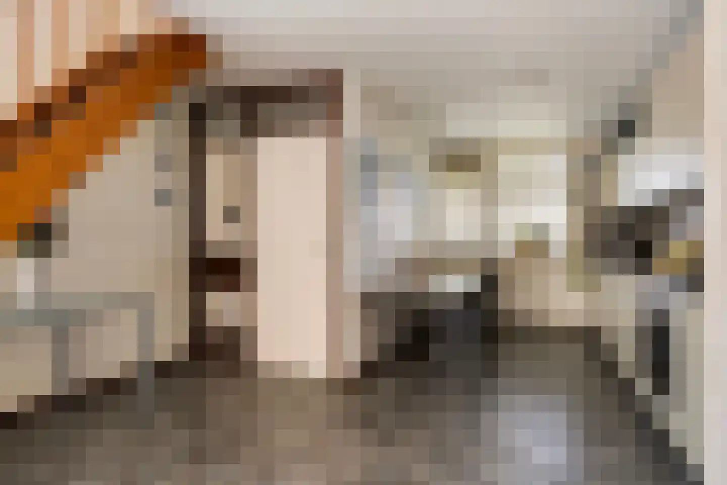 Volkerakstraat 33 Zierikzee thumbnail 26