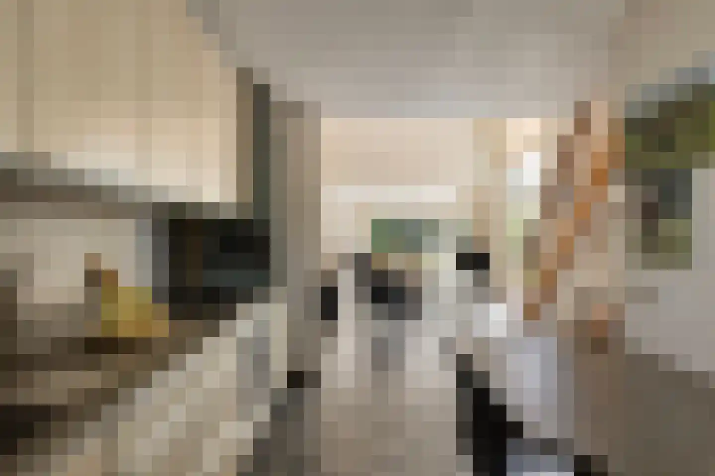 Volkerakstraat 33 Zierikzee thumbnail 29