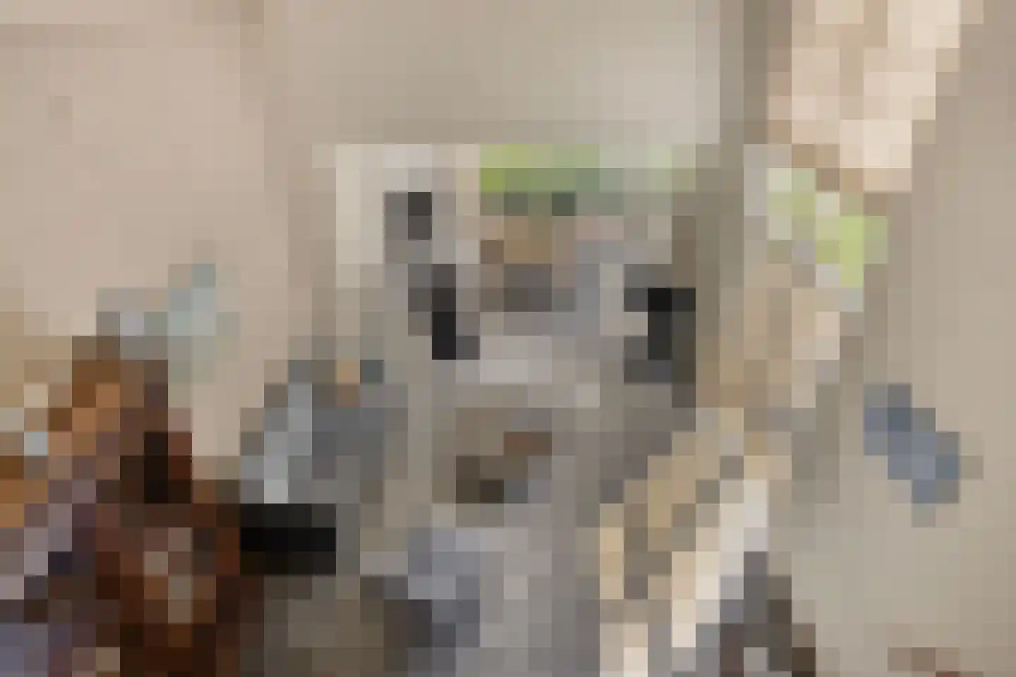 Volkerakstraat 33 Zierikzee thumbnail 34