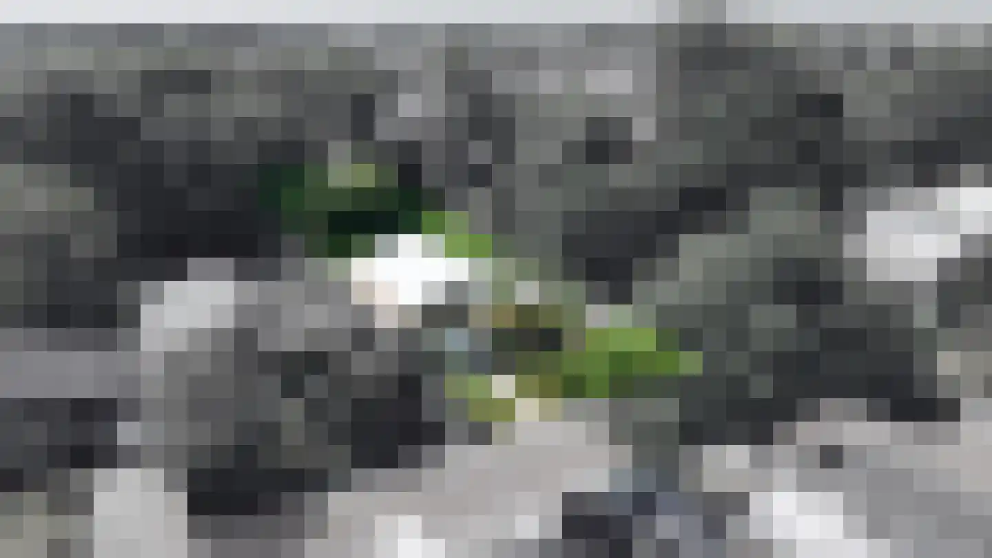 Volkerakstraat 33 Zierikzee thumbnail 4