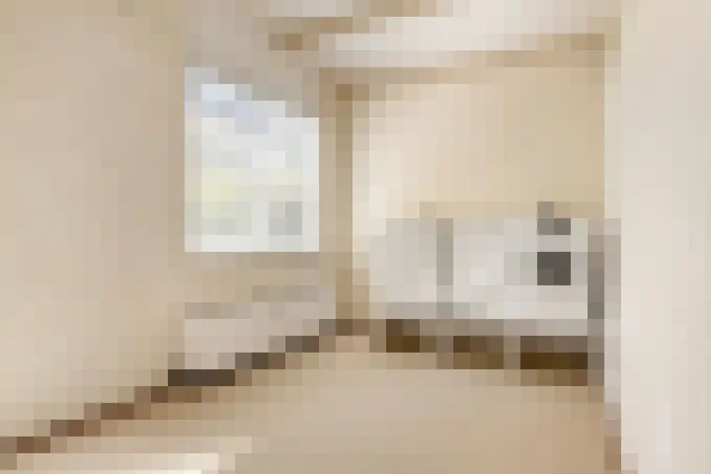 Volkerakstraat 33 Zierikzee thumbnail 44