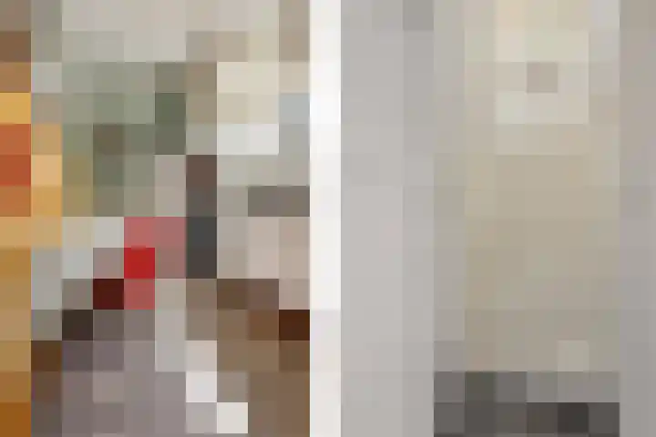 Volkerakstraat 4 Utrecht thumbnail 14