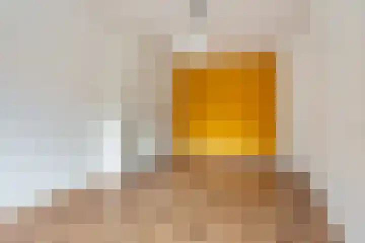 Volkerakstraat 4 Utrecht thumbnail 8