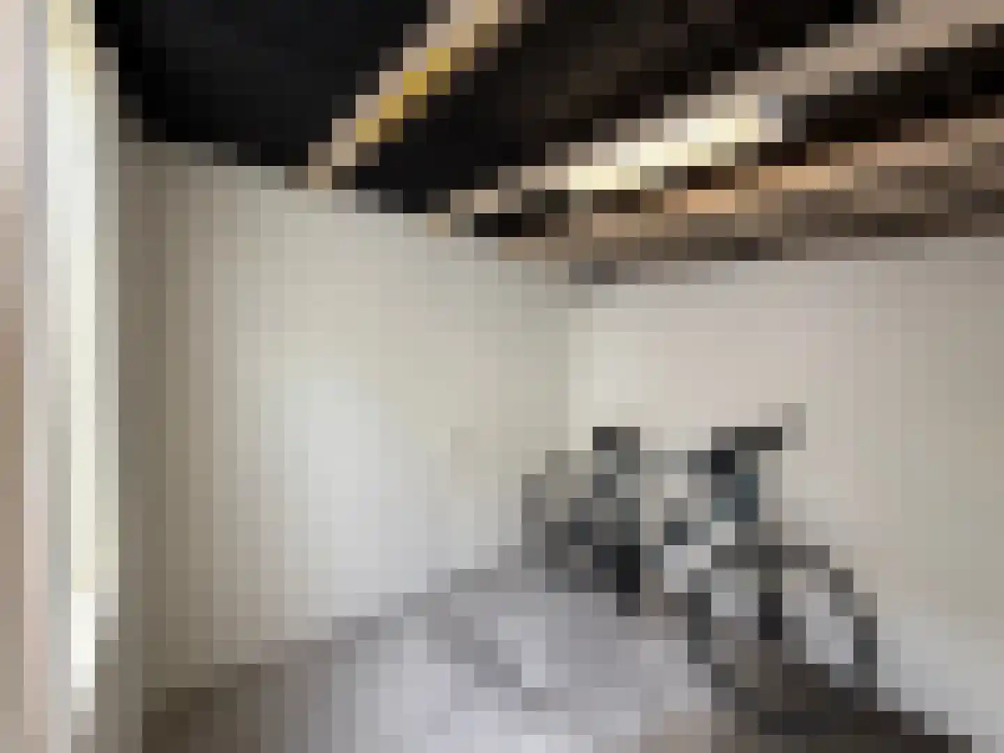 Volkerakstraat 58 Utrecht thumbnail 43