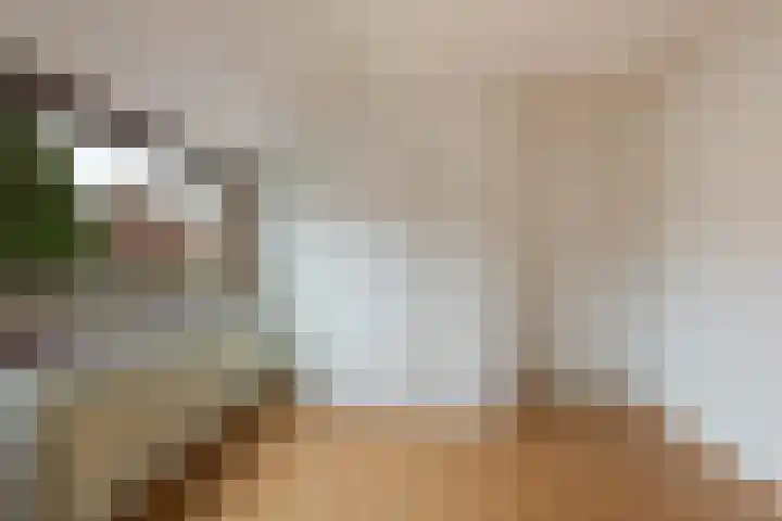 Volkerakstraat 60 Utrecht thumbnail 9