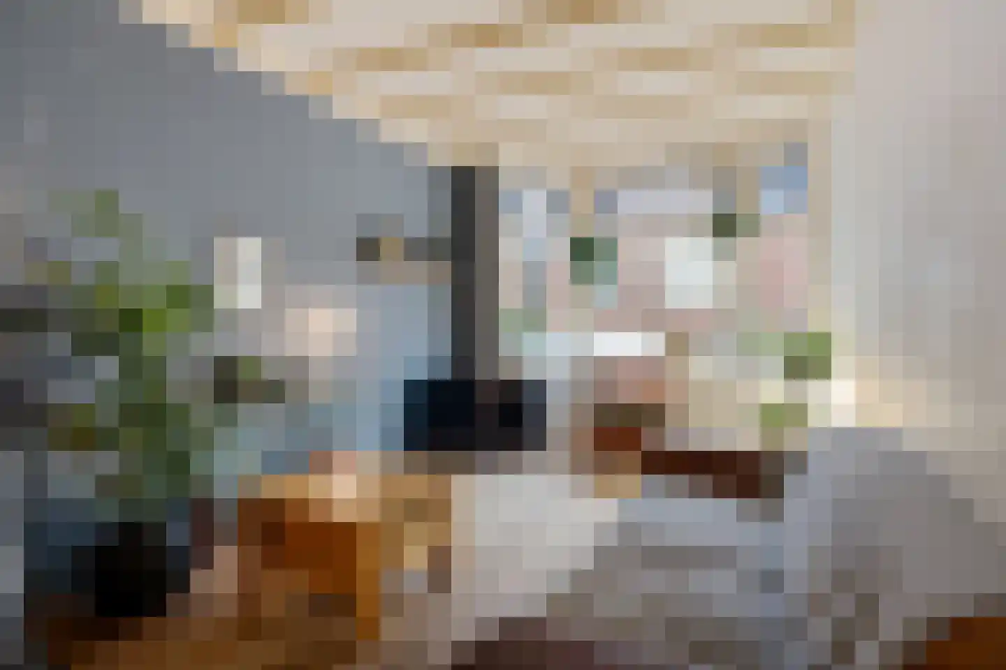 Volkerakstraat 64 Den Haag thumbnail 9