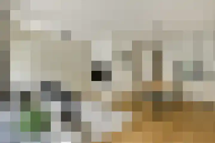 Volkerakstraat 7 2 Amsterdam thumbnail 7
