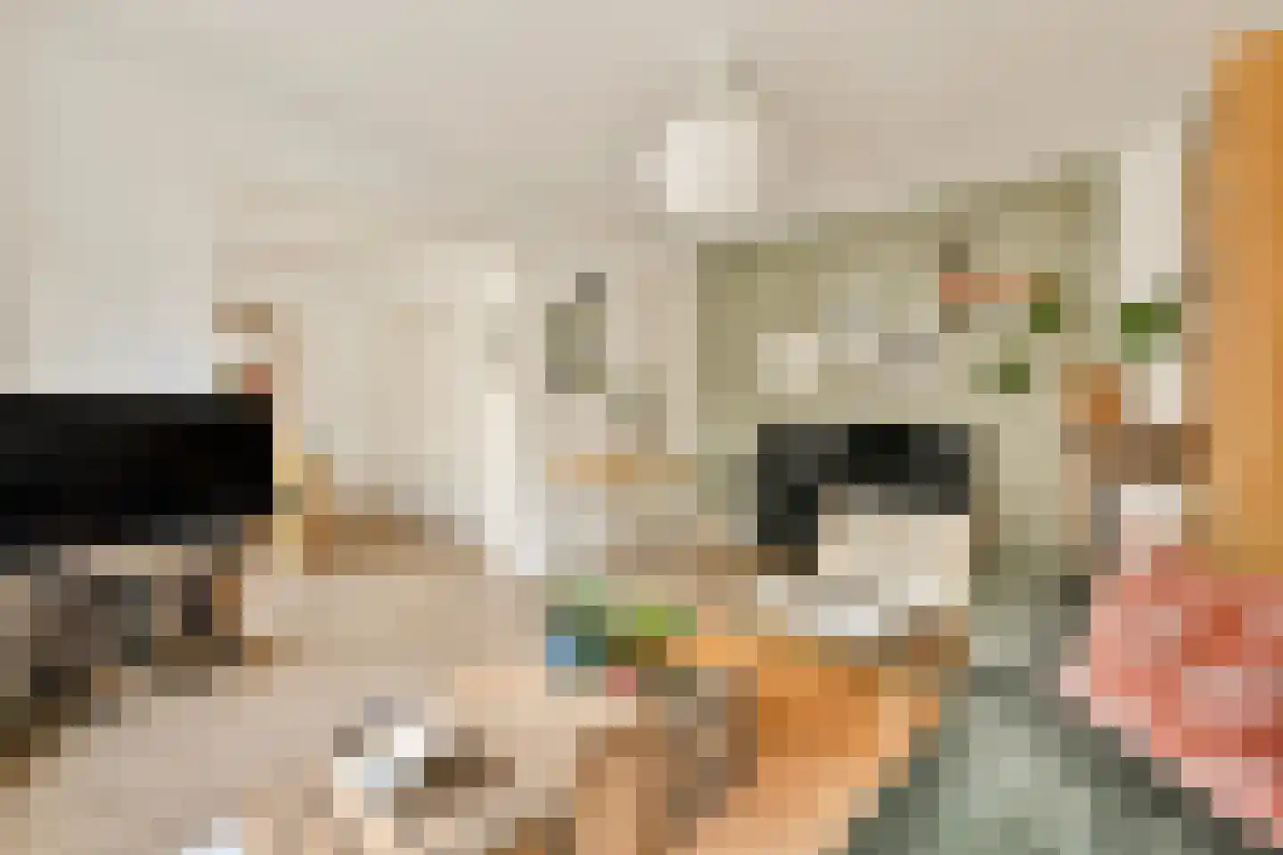 Volkerakstraat 7 H Amsterdam thumbnail 8