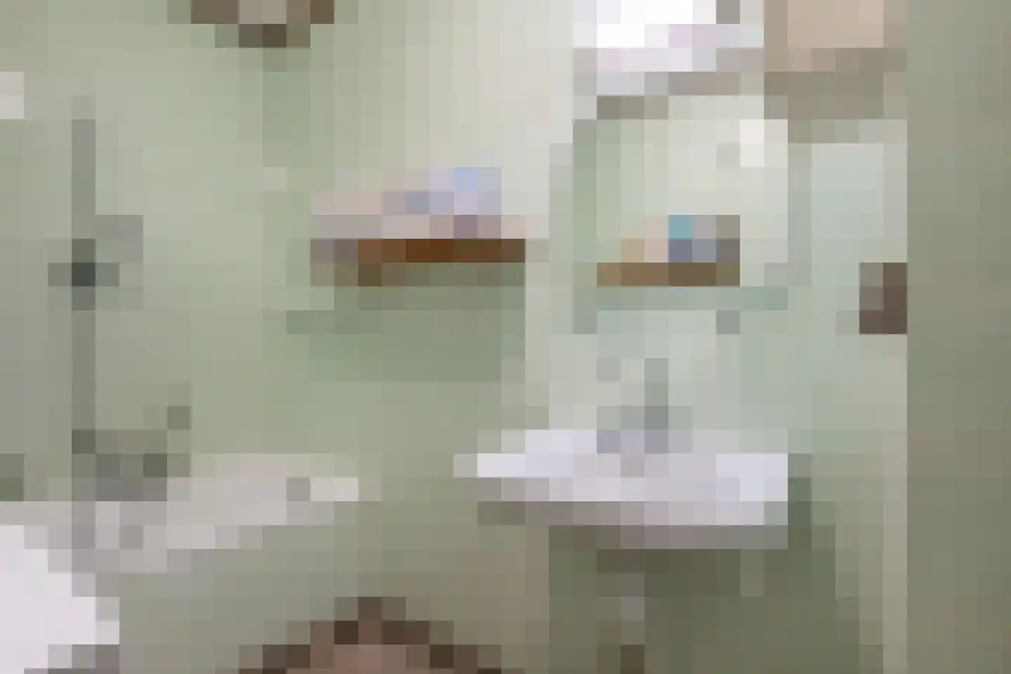 Volkerakstraat 7 Herkingen thumbnail 14