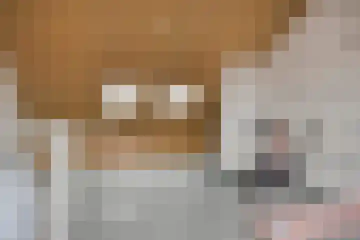 Volkerakstraat 7 Middelburg thumbnail 17