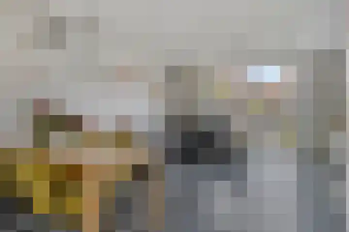 Volkerakstraat 7 Middelburg thumbnail 7