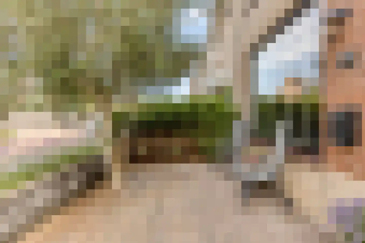 Volkerakstraat 70 Zierikzee thumbnail 44