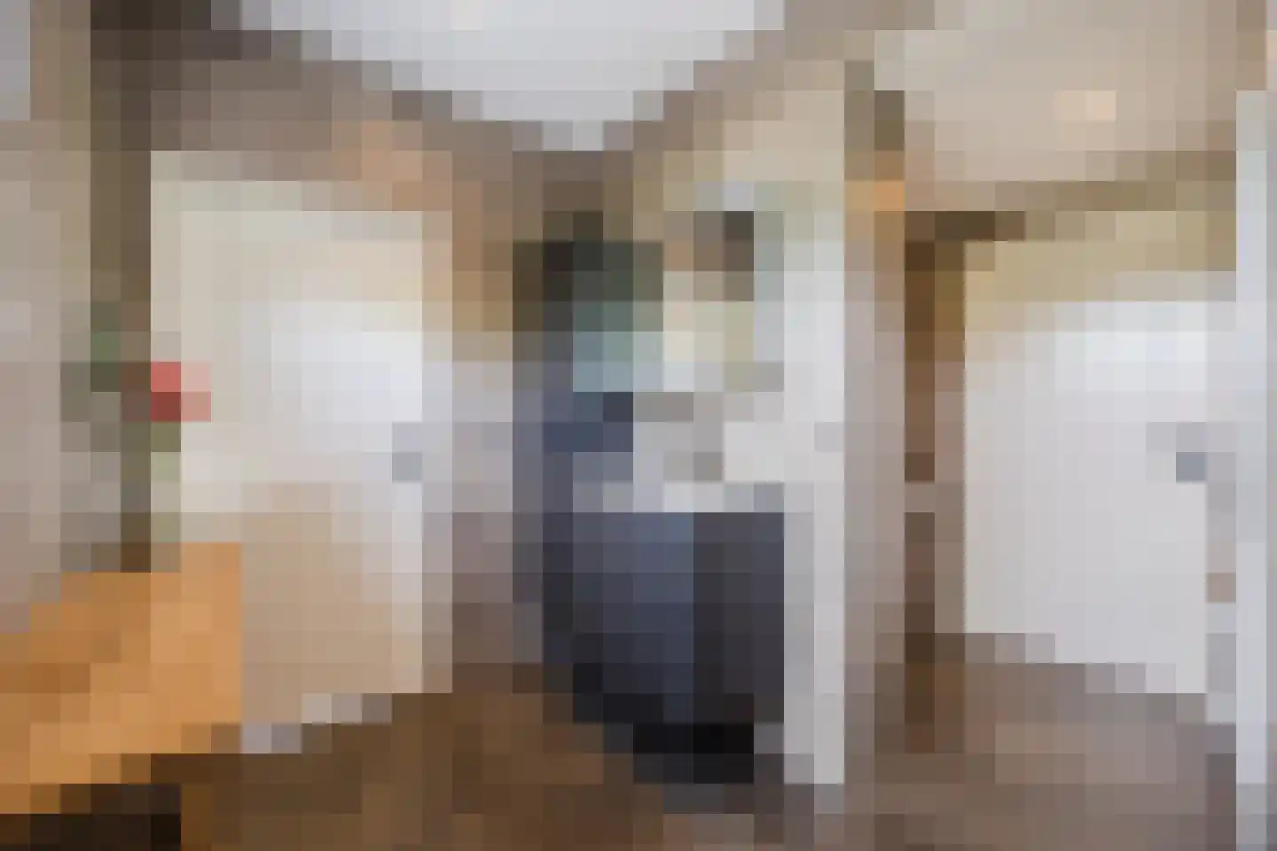 Volkerakweg 2 a Heijningen thumbnail 11