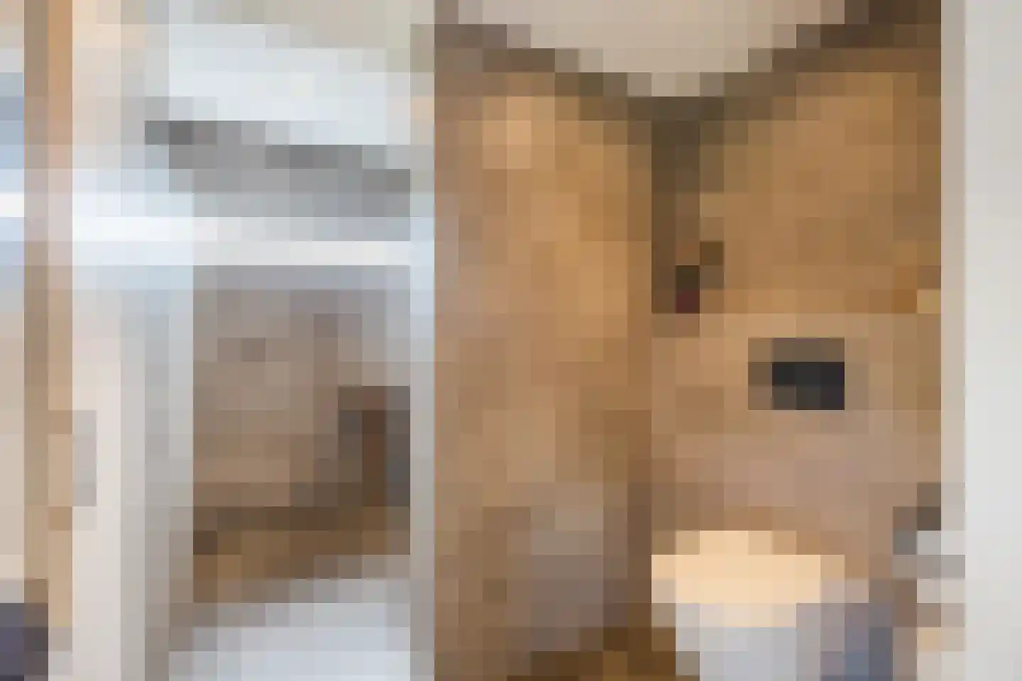 Volkerakweg 2 a Heijningen thumbnail 12
