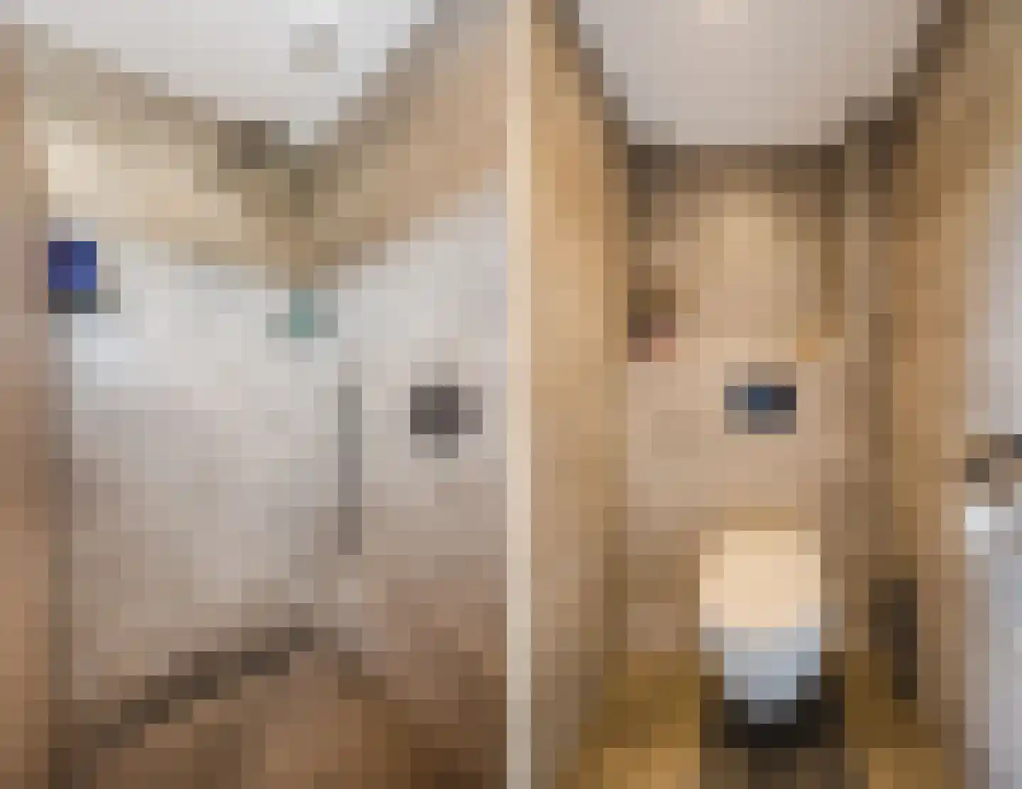 Volkerakweg 2 a Heijningen thumbnail 13