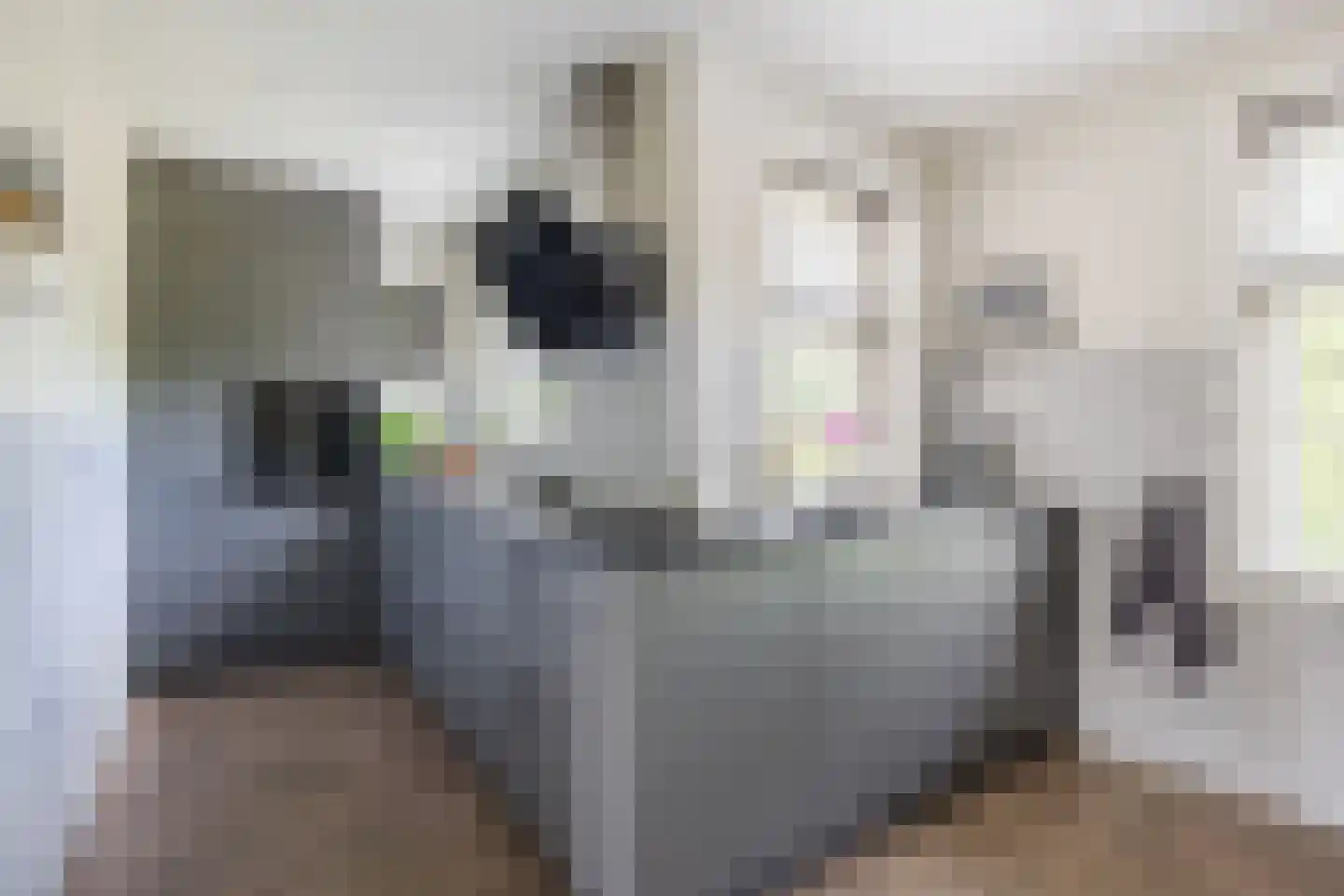 Volkerakweg 2 a Heijningen thumbnail 15