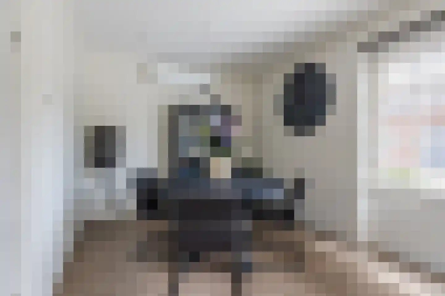 Volkerakweg 2 a Heijningen thumbnail 21