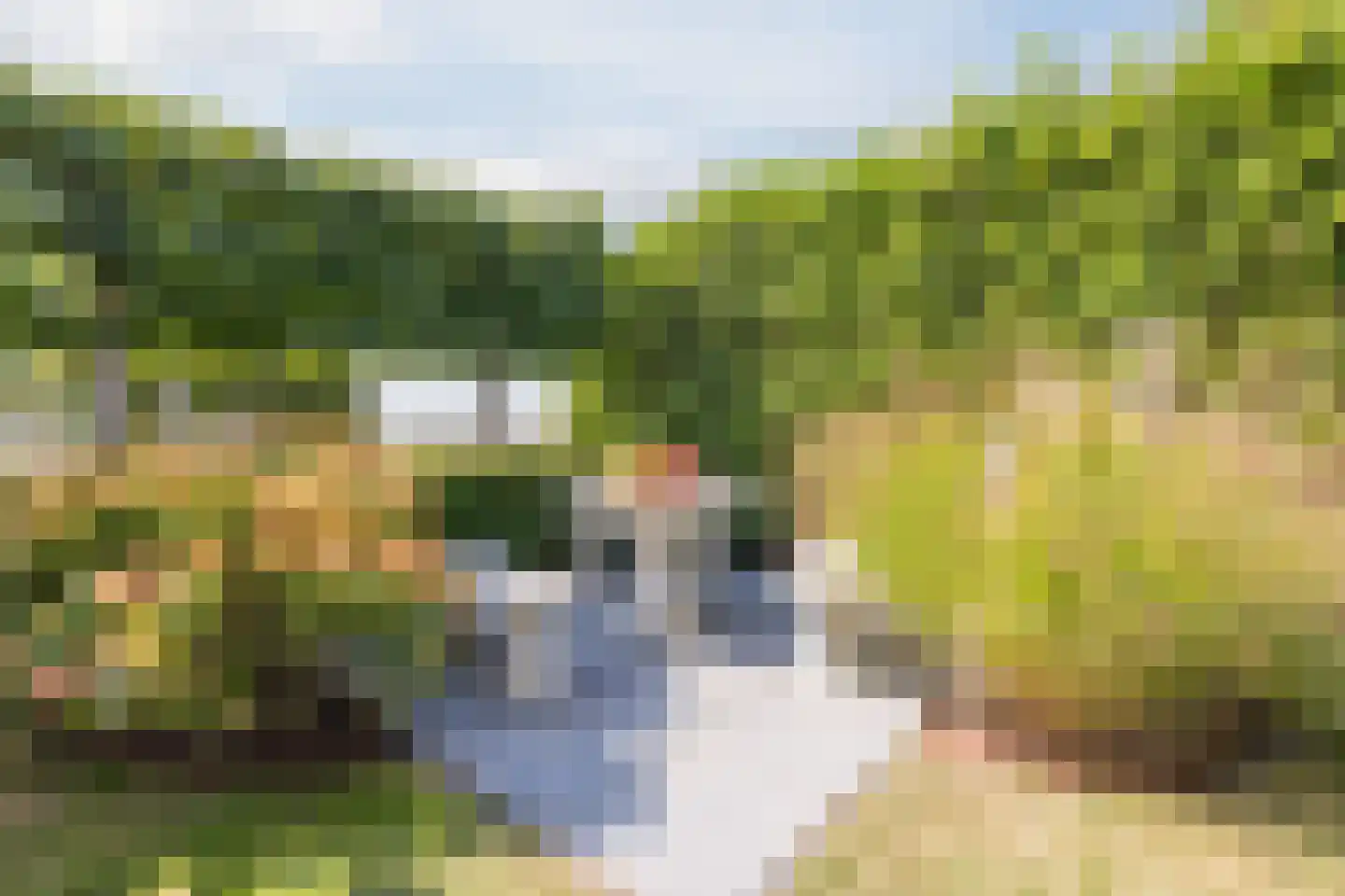 Volkerakweg 2 a Heijningen thumbnail 35