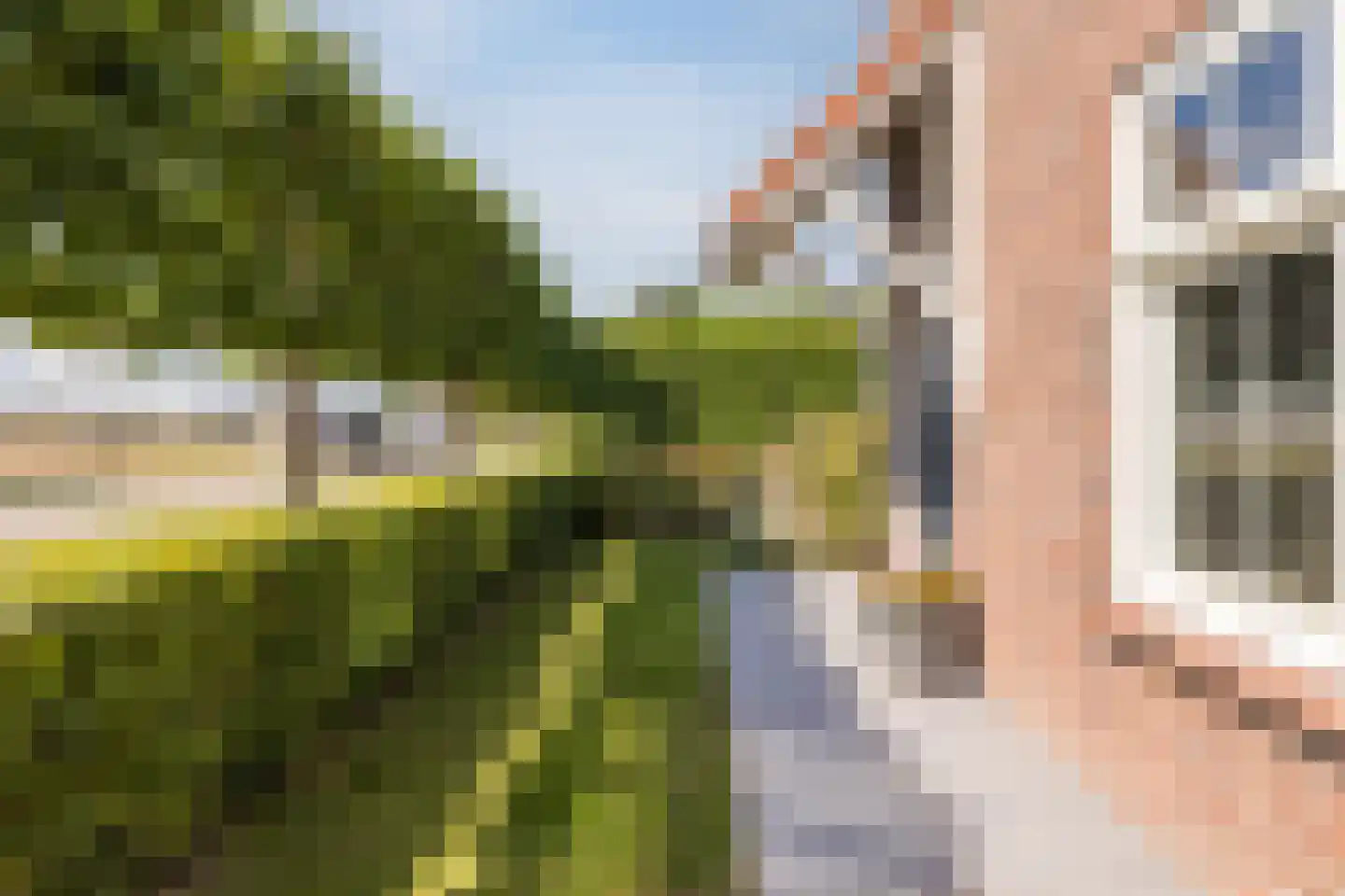 Volkerakweg 2 a Heijningen thumbnail 5