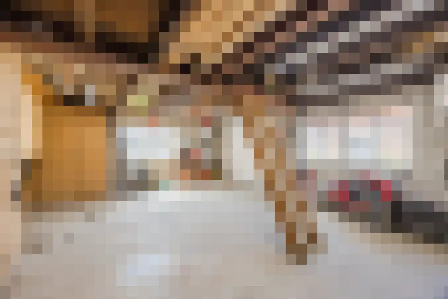 Volkerakweg 2 a Heijningen thumbnail 54