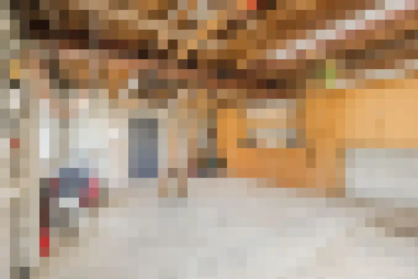 Volkerakweg 2 a Heijningen thumbnail 56