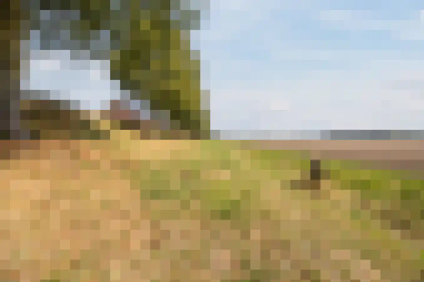 Volkerakweg 2 a Heijningen thumbnail 64