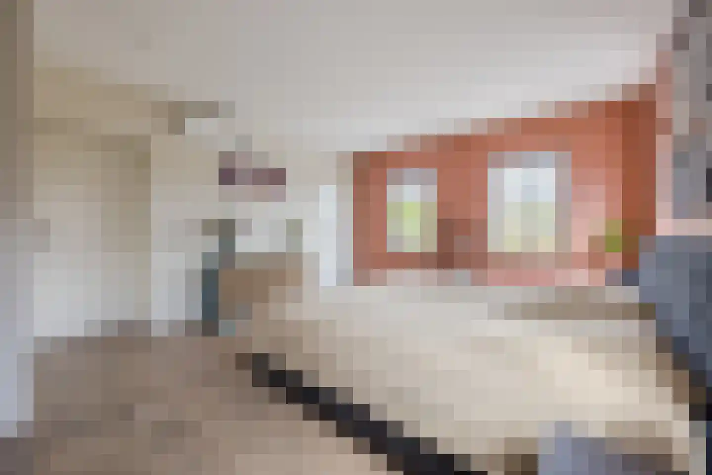 Volkerakweg 2 a Heijningen thumbnail 9