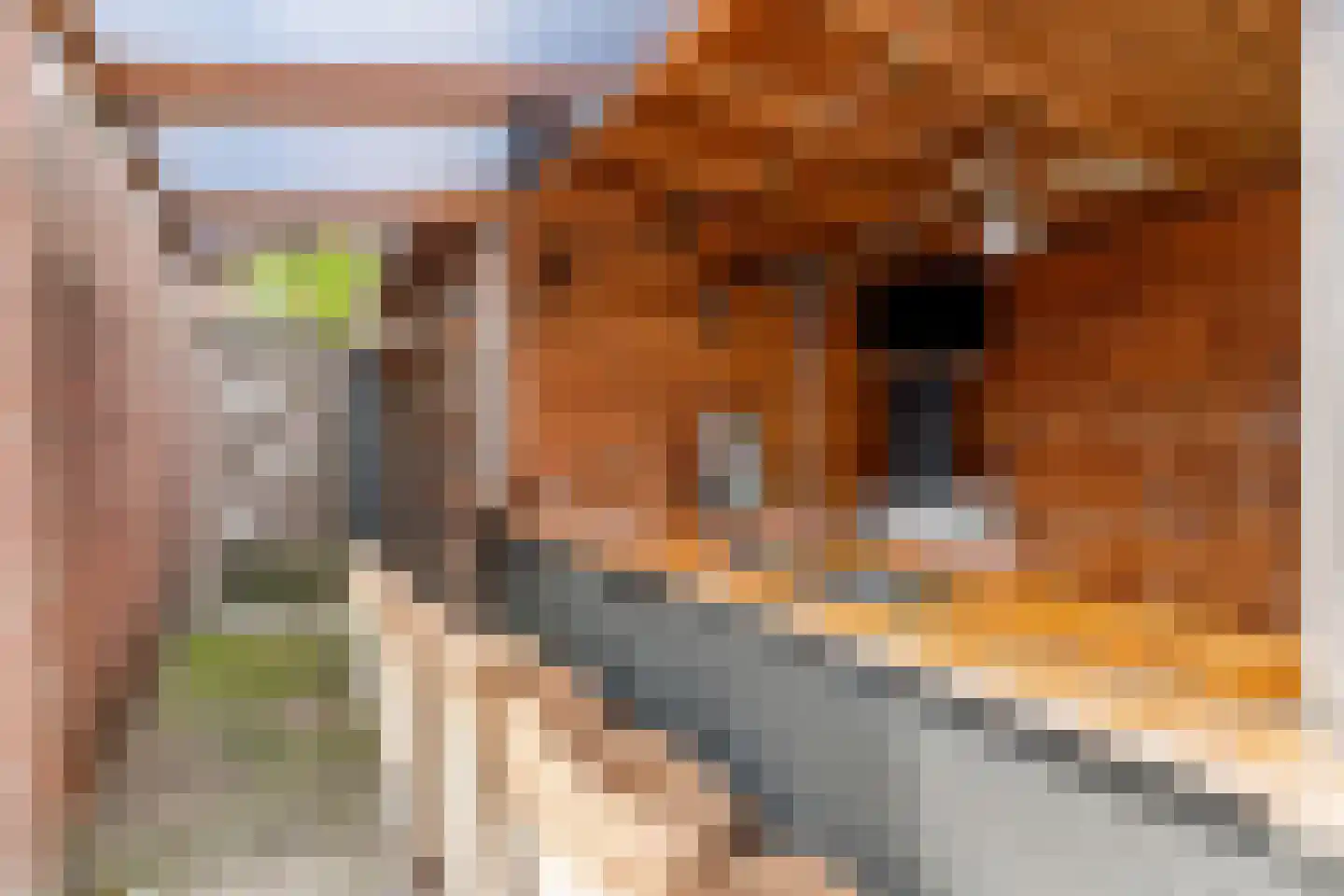 Volkerakweg 36 Dordrecht thumbnail 33