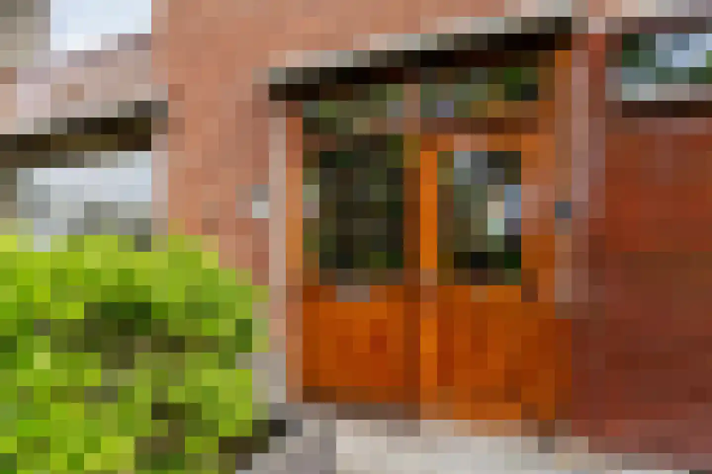 Volkerakweg 36 Dordrecht thumbnail 6