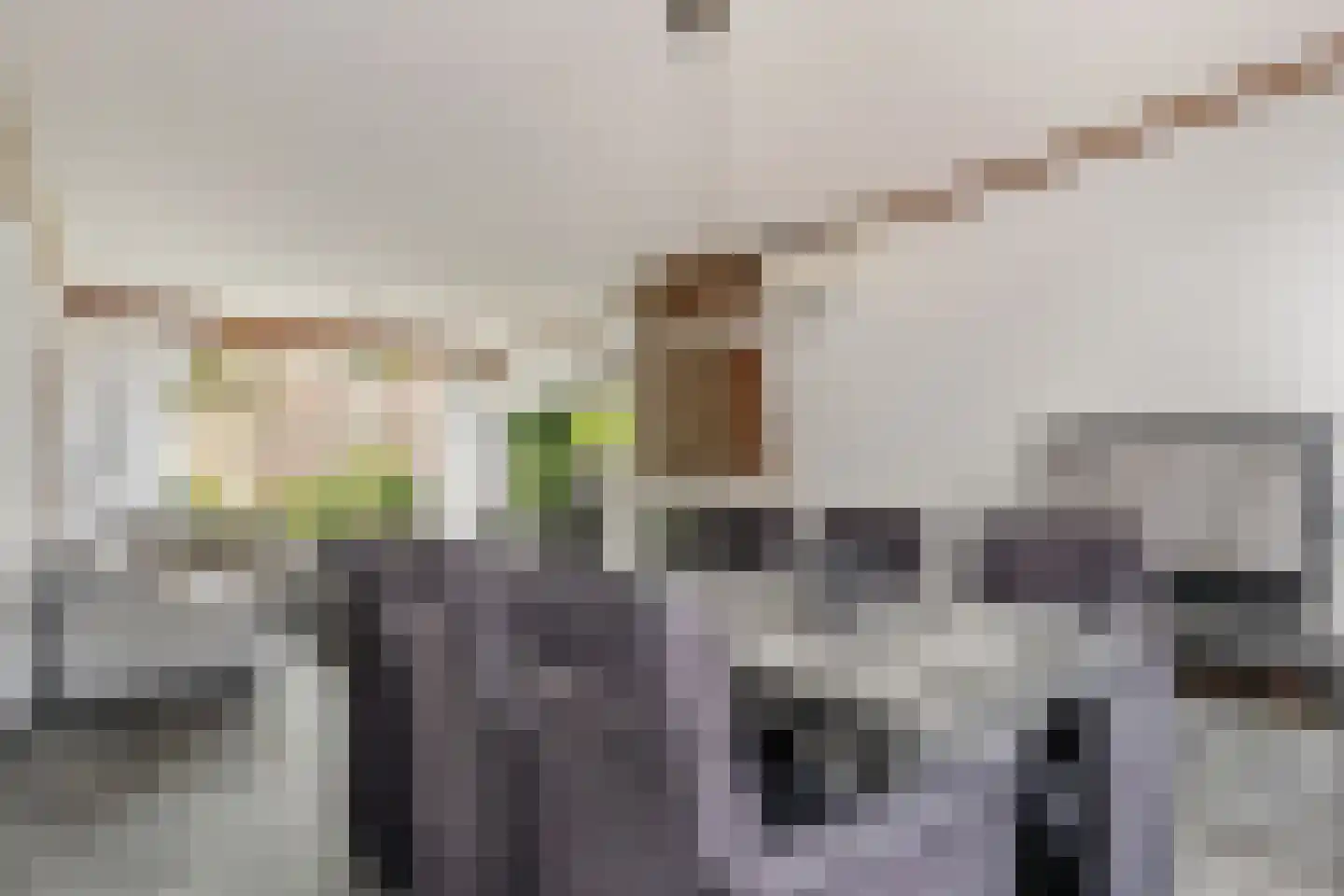 Volkerakweg 36 Dordrecht thumbnail 8