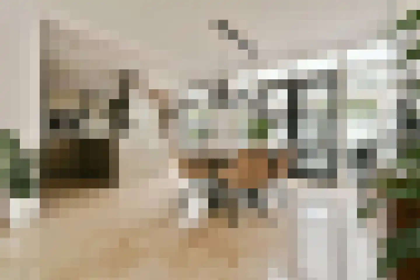 Volkerakweg 54 Dordrecht thumbnail 5