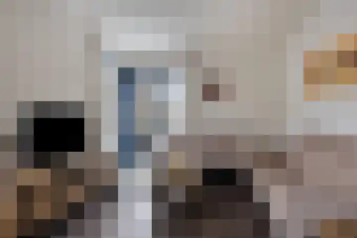 Volkering 2 Goor thumbnail 13
