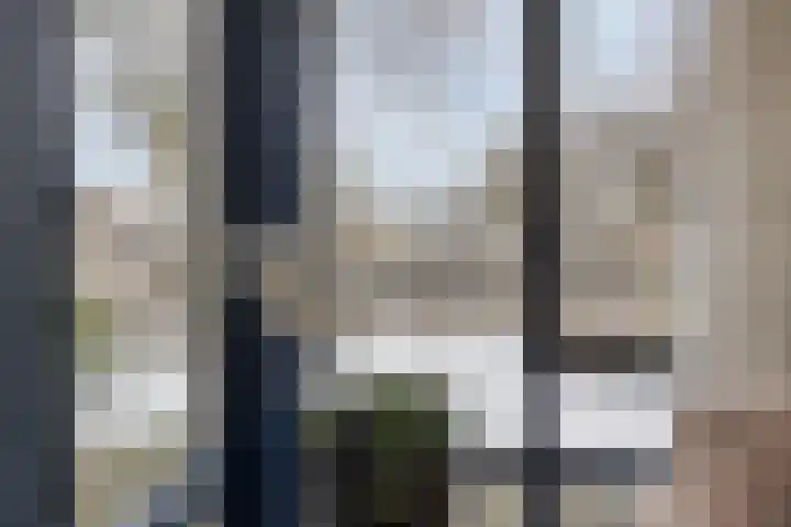Volkering 2 Goor thumbnail 14