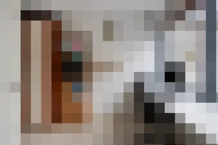 Volkering 2 Goor thumbnail 23