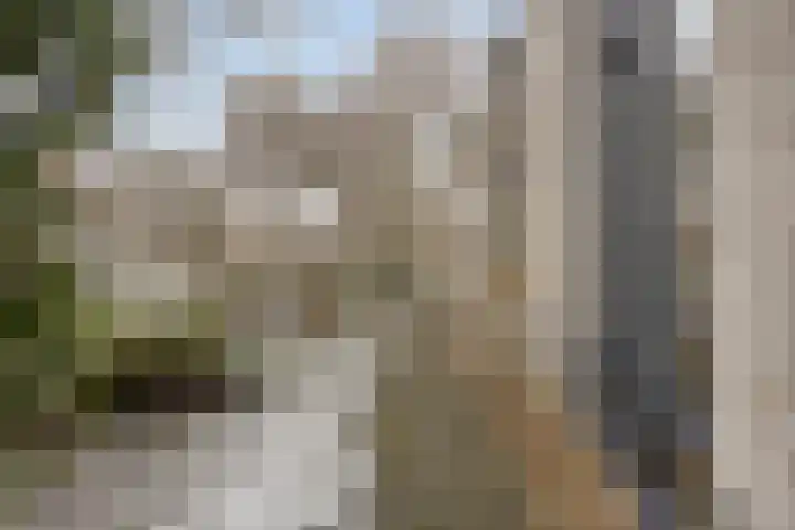Volkering 2 Goor thumbnail 48