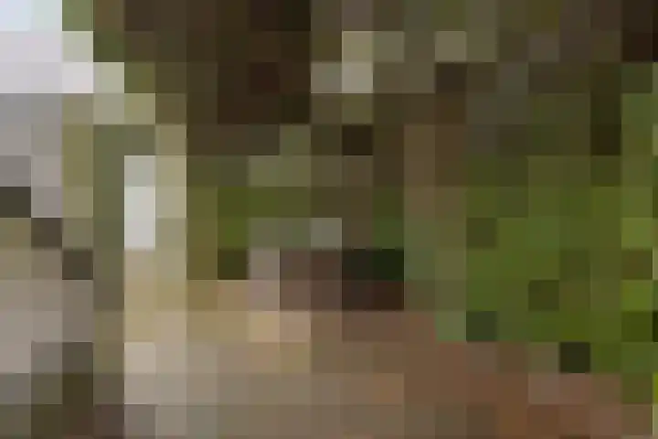 Volkering 2 Goor thumbnail 49