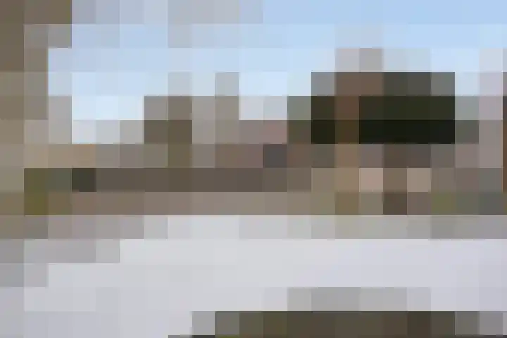 Volkering 2 Goor thumbnail 54