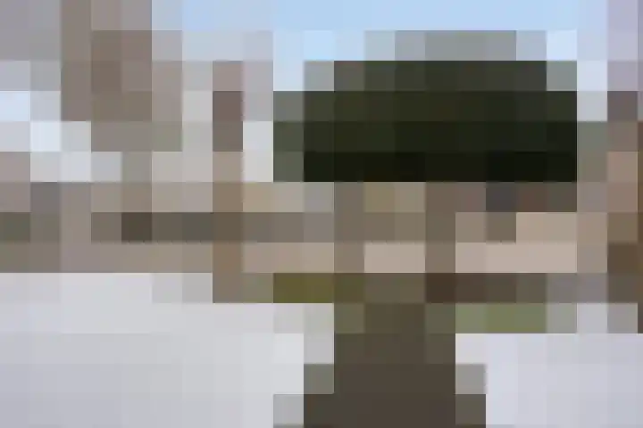 Volkering 2 Goor thumbnail 6