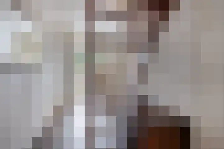 Volkering 2 Goor thumbnail 8