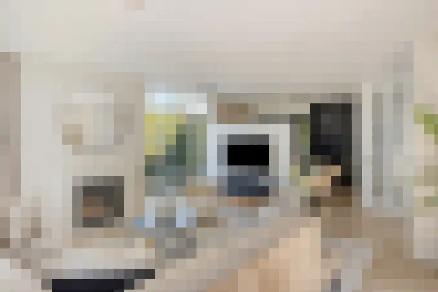 Volkering 8 Goor thumbnail 10